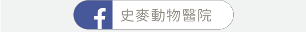 預約選項 02
