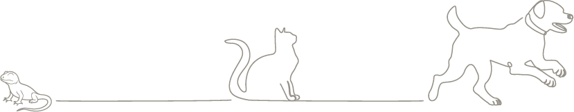 Illustration 1